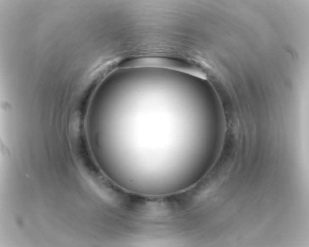 X0000091200744200708091307