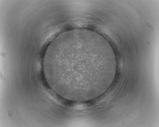 X0000091200746200708091307