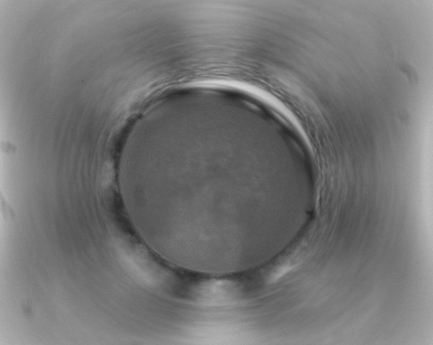 X0000091200748200708091307