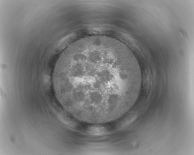 X0000091200749200708091307