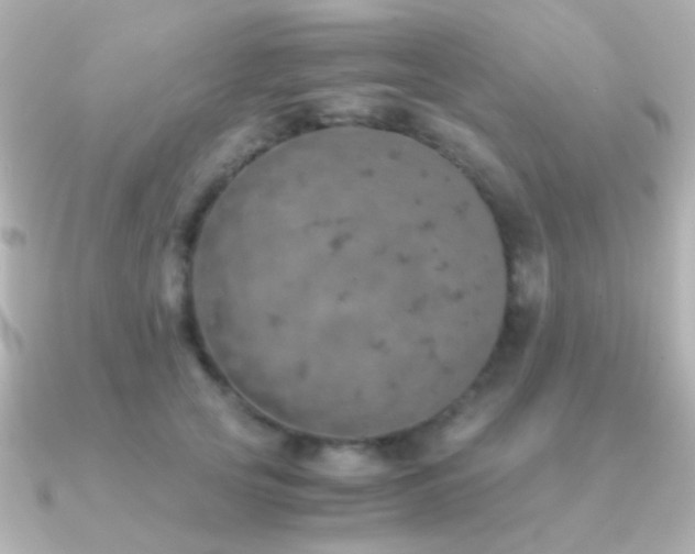 X0000091200753200708091307