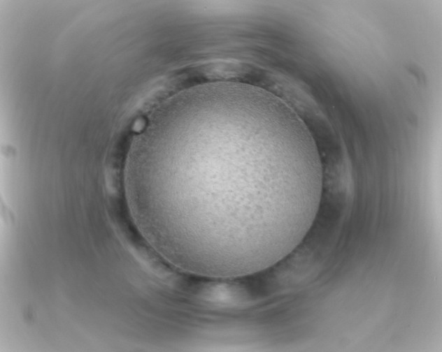 X0000091200755200708091307