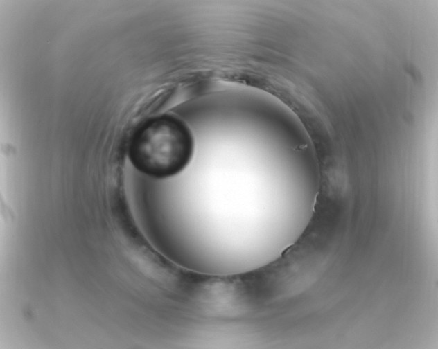 X0000091200756200708091307
