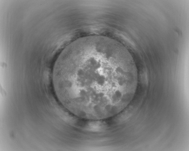 X0000091200757200708091307