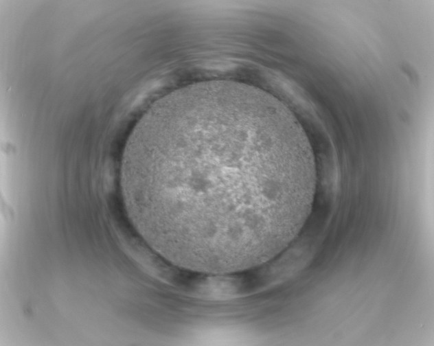 X0000091200758200708091307