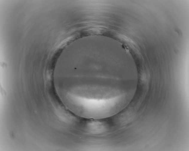 X0000091200759200708091307