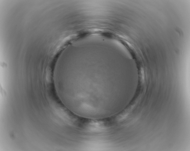X0000091200760200708091307