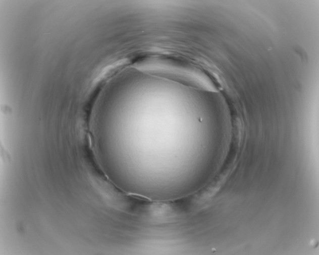 X0000091200762200708091307
