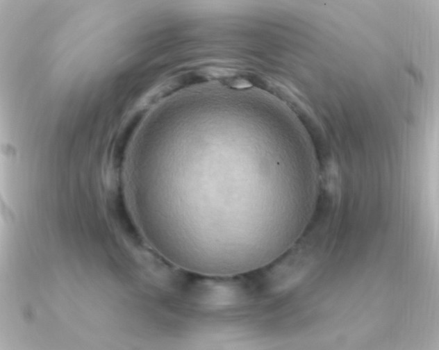 X0000091200763200708091307