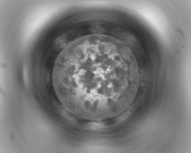 X0000091200765200708091307