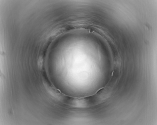 X0000091200767200708091307