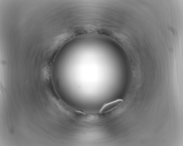 X0000091200768200708091307