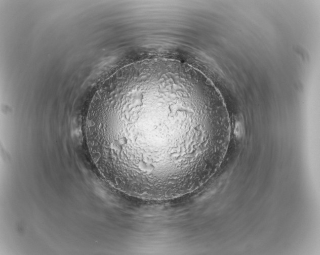 X0000091200771200708091306