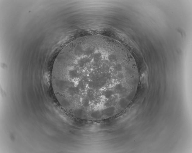 X0000091200772200708091306