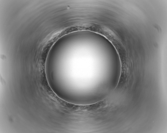 X0000091200773200708091306