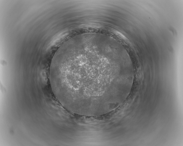 X0000091200774200708091306