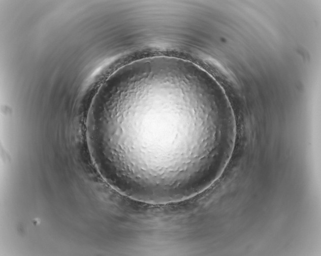 X0000091200776200708091306