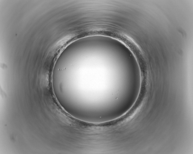 X0000091200777200708091306