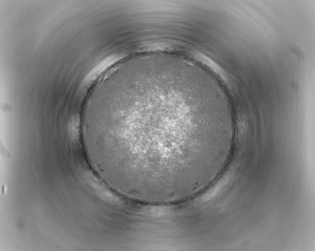 X0000091200778200708091306