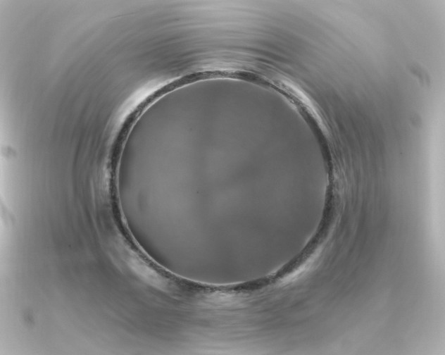 X0000091200779200708091306