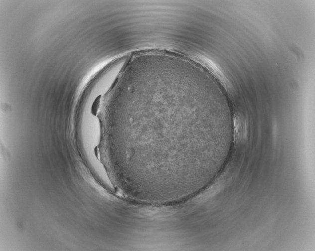 X0000091200780200708091306
