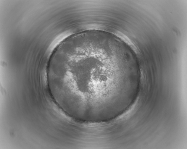 X0000091200782200708091306