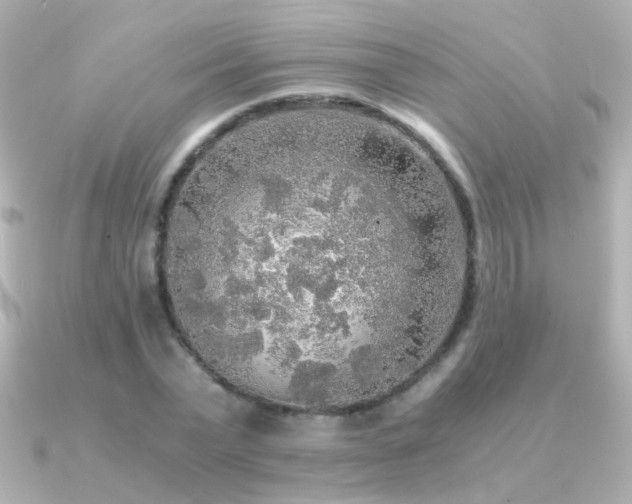 X0000091200783200708091306
