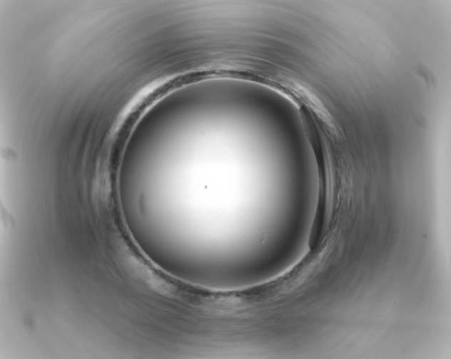 X0000091200784200708091306