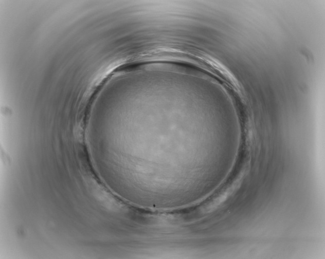 X0000091200785200708091306