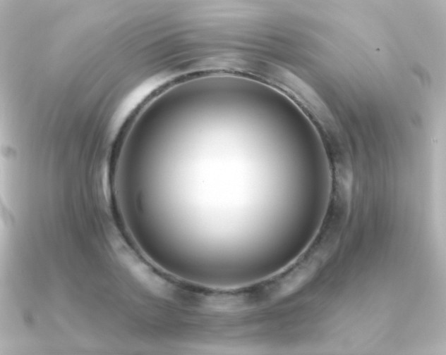 X0000091200788200708091306