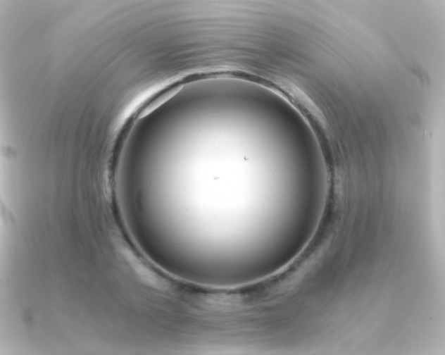 X0000091200789200708091306