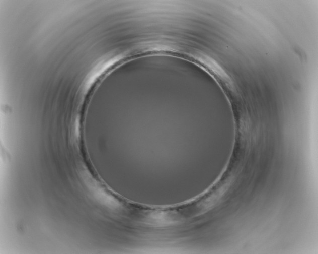 X0000091200790200708091306