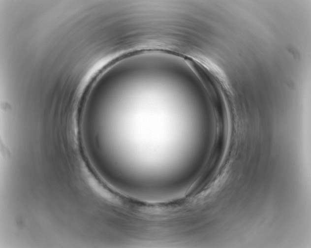X0000091200792200708091306