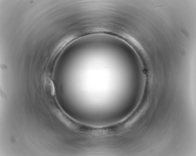 X0000091200793200708091306