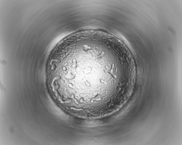 X0000091200795200708091306