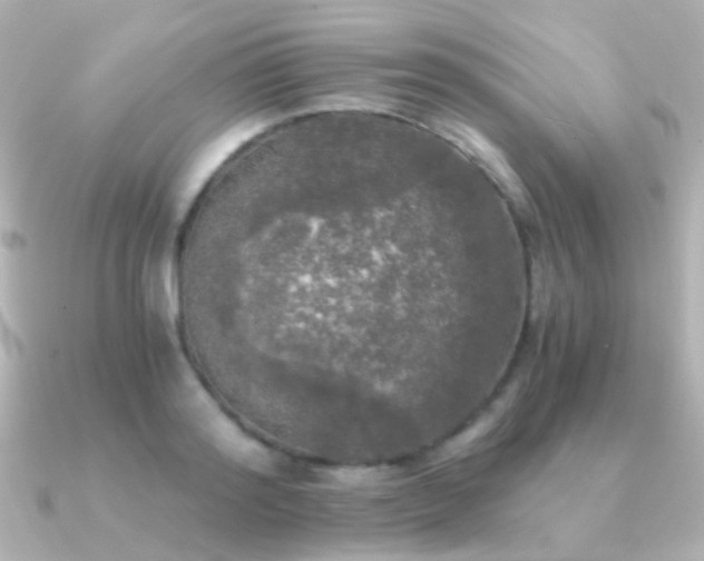 X0000091200796200708091306