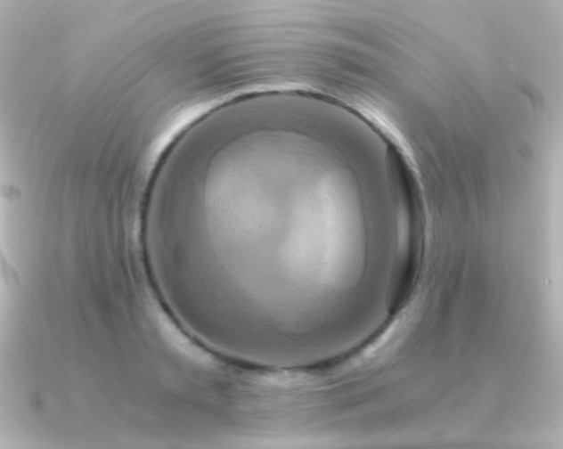 X0000091200797200708091306