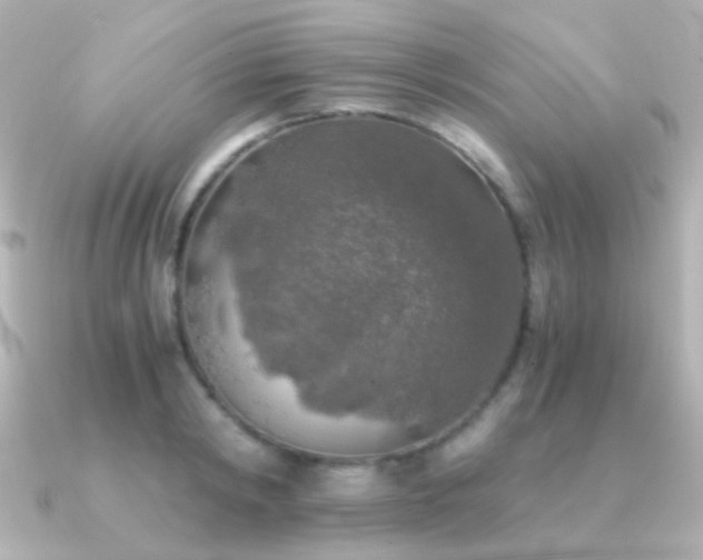 X0000091200798200708091306