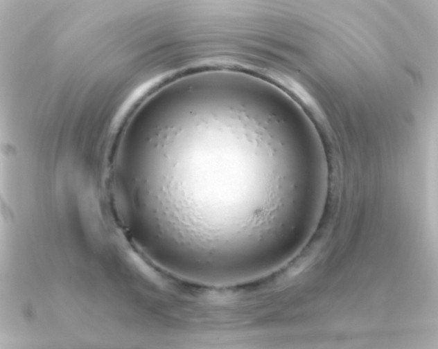 X0000091200799200708091306