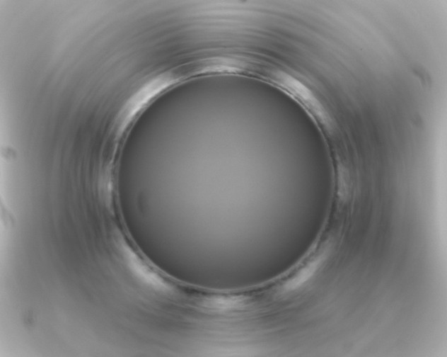 X0000091200802200708091306