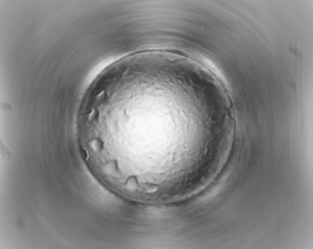 X0000091200803200708091306