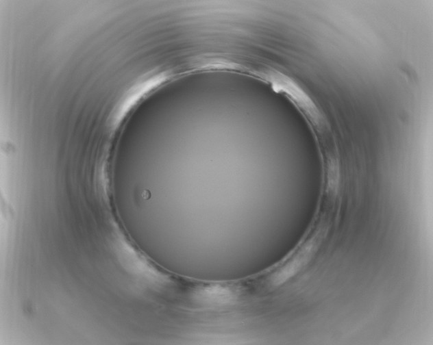 X0000091200806200708091306