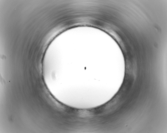 X0000091200807200708091306