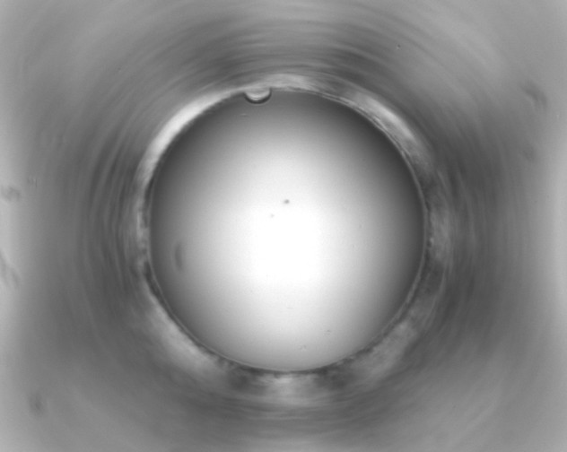 X0000091200808200708091306