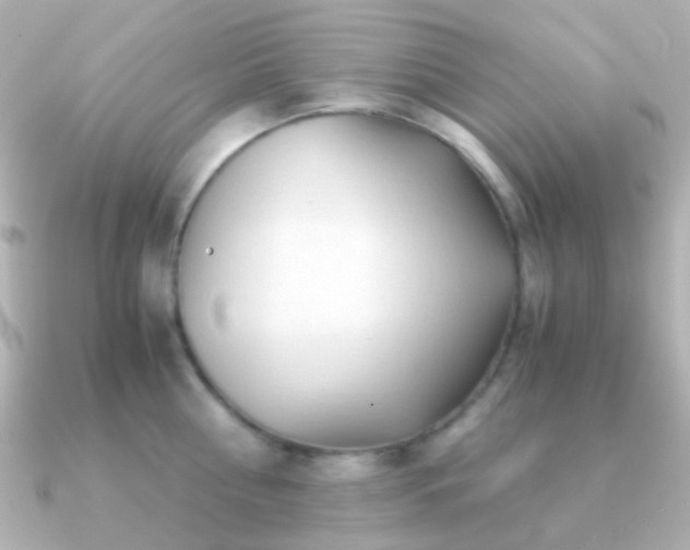 X0000091200810200708091306