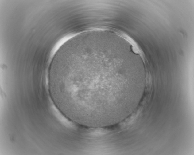 X0000091200811200708091306