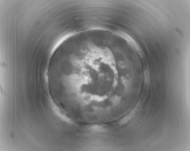 X0000091200814200708091306