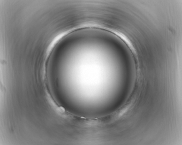 X0000091200815200708091306