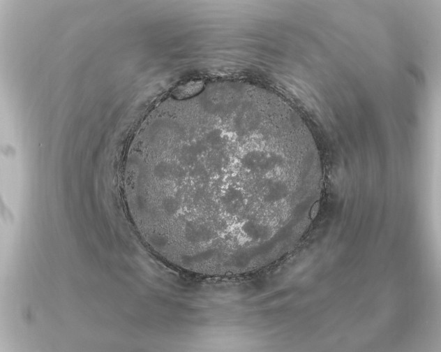 X0000091200817200708091305