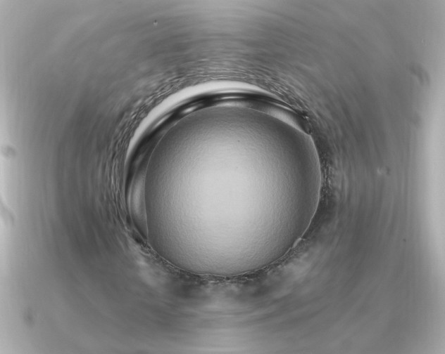 X0000091200818200708091305